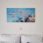 Lägenhet Delight